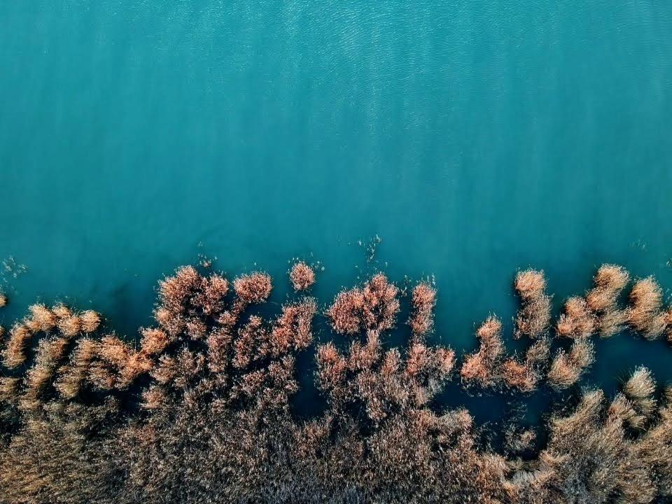 Hello Balaton Apartman Alsóörs Kültér fotó